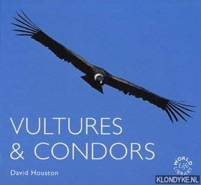 vultures and condors 1st edition david houston 1841070726, 978-1841070728