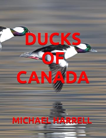 ducks of canada 1st edition michael harrell b0cl6zndxz, 979-8864589984