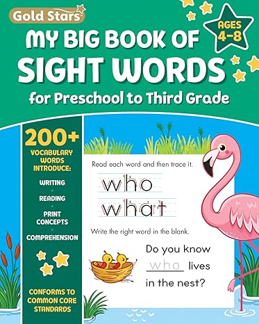 gold stars my big book of sight words activity workbook 229 high frequency words trace write read and