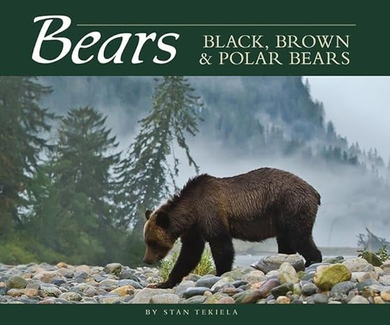 bears black brown and polar bears 1st edition stan tekiela 1591933781, 978-1591933786