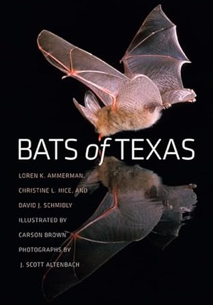 bats of texas 1st edition loren k ammerman ,christine l hice ,david j schmidly ,carson brown 1603444769,