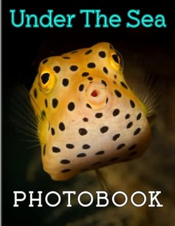 under the sea photo book secret life in the deep sea with various animal by colorpages with more 40 pages