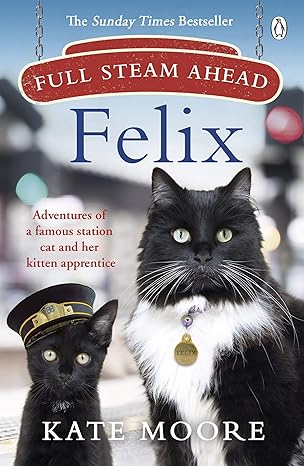 full steam ahead felix 1st edition kate moore 1405942304, 978-1405942300