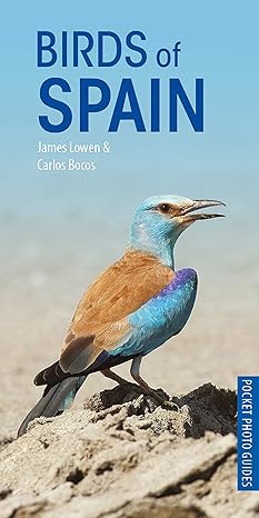 birds of spain 1st edition james lowen ,carlos bocos gonzalez 1472949277, 978-1472949271