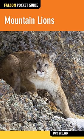 mountain lions 1st edition jack ballard 149301255x, 978-1493012558