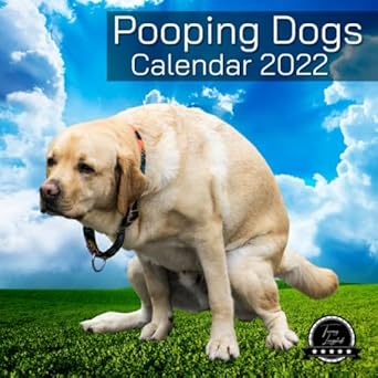 pooping dogs calendar 2022 funny calendar pooping animals 12 month cool poop photo calendar long monthly