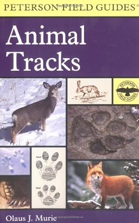 a field guide to animal tracks 1st edition olaus johan murie 0395910943, 978-0395910948