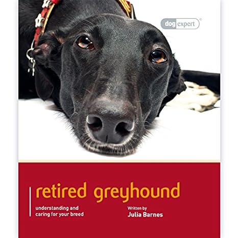 greyhound dog expert 1st edition julia barnes 1910488372, 978-1910488379