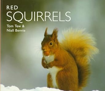 red squirrels 1st edition tom tew ,niall benvie 1900455242, 978-1900455244