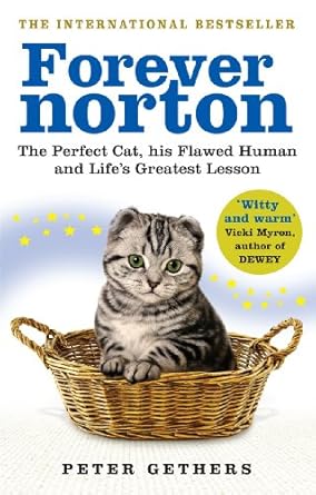 forever norton 1st edition peter gethers 0091933307, 978-0091933302