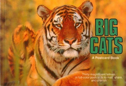 big cats a postcard book 1st edition running press 0894717731, 978-0894717734