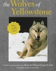 the wolves of yellowstone 1st edition michael k phillips ,douglas w smith ,barry o'neill ,teri o'neill