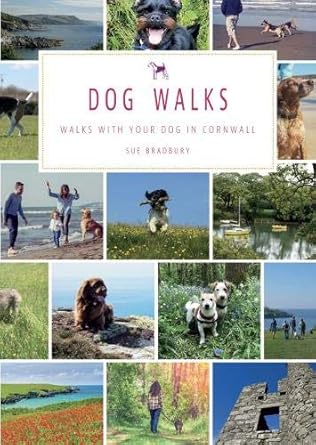 dog walks walks with your dog in cornwall 1st edition sue bradbury 0850254485, 978-0850254488