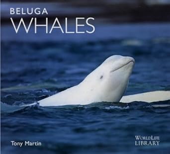 beluga whales 1st edition tony martin 1841070823, 978-1841070827