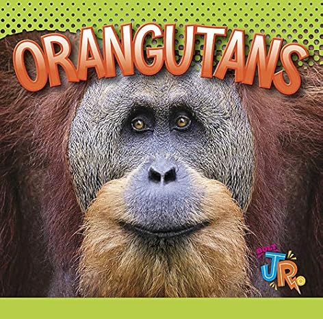 orangutans 1st edition marysa storm 1644661012, 978-1644661017