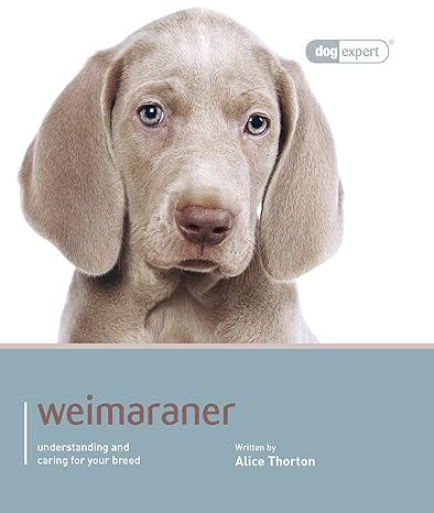 weimaraner dog expert 1st edition alice thornton 1910488321, 978-1910488324