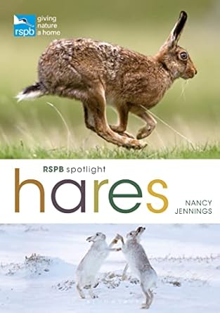 rspb spotlight hares 1st edition nancy jennings 1399405047, 978-1399405041