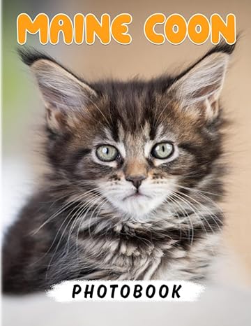 maine coon kittens photo book the larges domesticated cats picture book for decor 40+ pages high quality