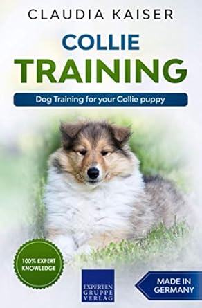 collie training dog training for your collie puppy 1st edition claudia kaiser b0851llvl7, 979-8615751134