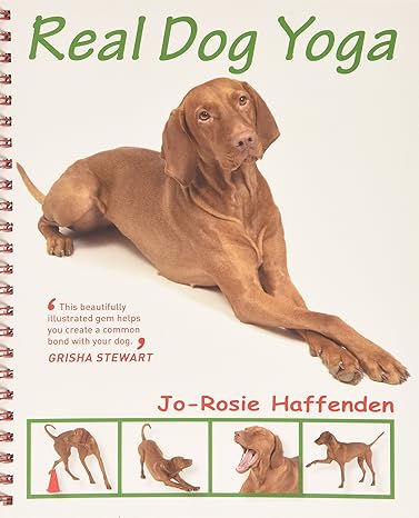 real dog yoga 1st edition jo rosie haffenden 1910488178, 978-1910488171