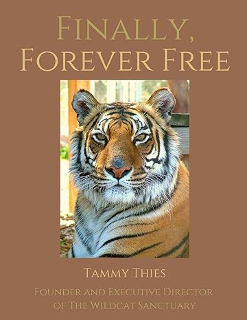 finally forever free 1st edition tammy thies 1953789005, 978-1953789006