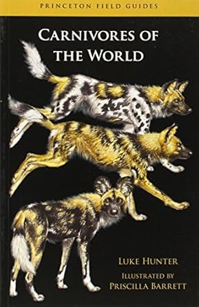 carnivores of the world 1st edition luke hunter ,priscilla barrett 0691152284, 978-0691152288