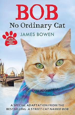 bob no ordinary cat children's edition james bowen 144476490x, 978-1444764901