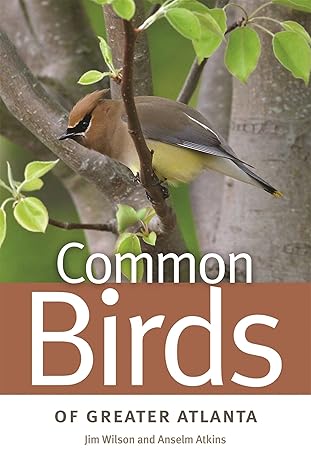 common birds of greater atlanta 1st edition jim wilson ,anselm atkins 0820338257, 978-0820338255