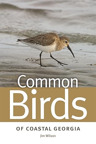 common birds of coastal georgia 1st edition jim wilson 0820338281, 978-0820338286