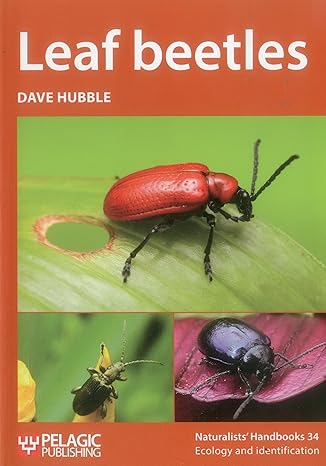 leaf beetles 1st edition dave hubble 1784271500, 978-1784271503
