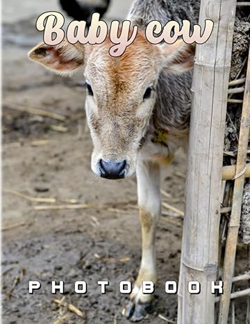 baby cow photo book collection hilarious emotion for relaxation to anyone with more 40 pages high quality