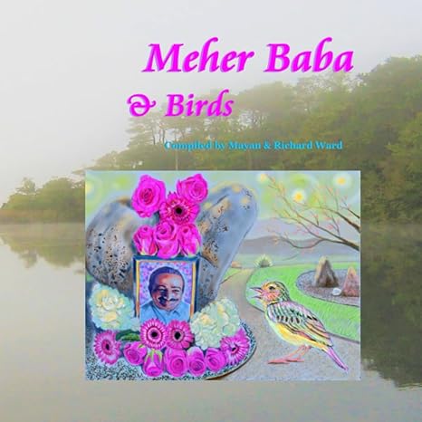 meher baba and birds 1st edition mayan ward ,richard ward b0c6bqx389, 979-8396132740
