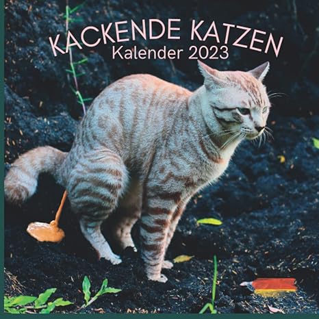 kackende katzen kalender 2023 katzenkalender 2023 mit lustigen kackenden katzen das lustige geschenk fur