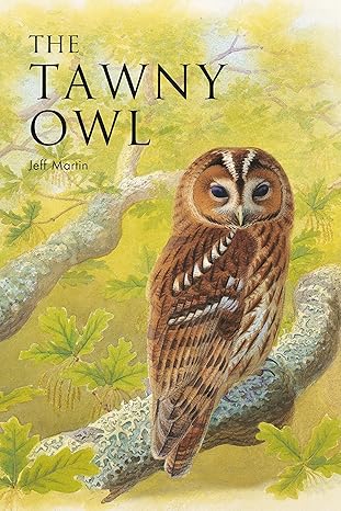 the tawny owl 1st edition jeff martin 1472980697, 978-1472980694