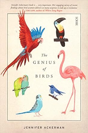 the genius of birds 1st edition jennifer ackerman ,julian rhind tutt 192510687x, 978-1925106879