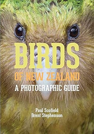 birds of new zealand 1st edition paul scofield 1869407334, 978-1869407339