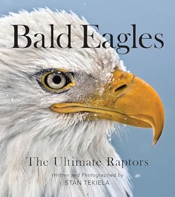 bald eagles the ultimate raptors 1st edition stan tekiela 1647551455, 978-1647551452
