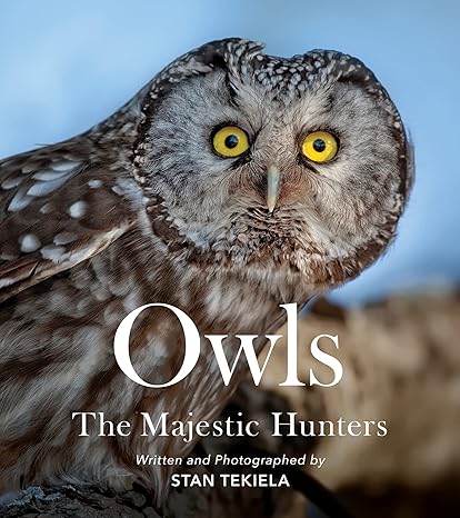 owls the majestic hunters 1st edition stan tekiela 1647553849, 978-1647553845