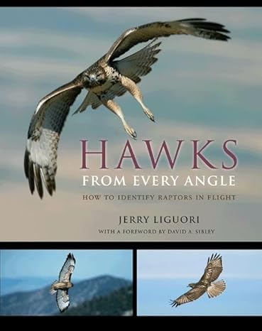 hawks from every angle how to identify raptors in flight 1st edition jerry liguori ,david sibley 0691118256,