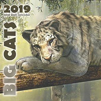 big cats 2019 mini wall calendar 1st edition wall publishing 1642523054, 978-1642523058