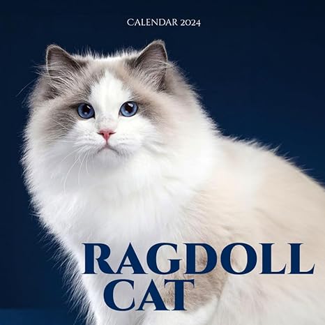 ragdoll royalty 2024 cat calendar a year of graceful elegance and feline charms 1st edition kolaiba