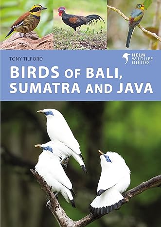 birds of bali sumatra and java 1st edition tony tilford 1472986873, 978-1472986870