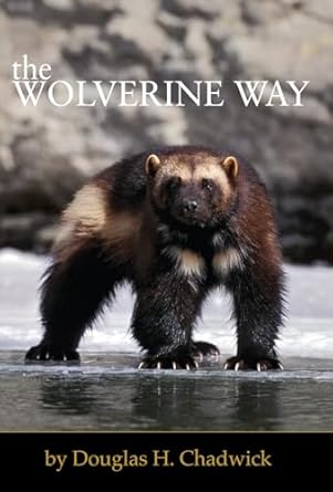 the wolverine way 1st edition douglas h chadwick 0980122740, 978-0980122749