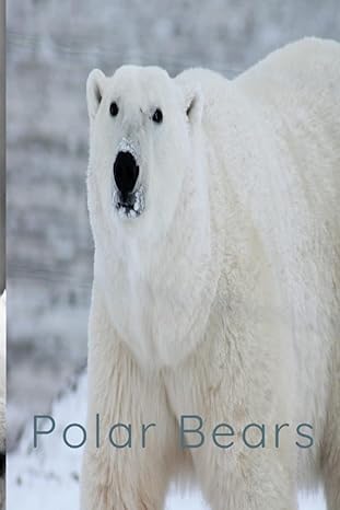 polar bears 1st edition amy frutchey b0bcwzcwft