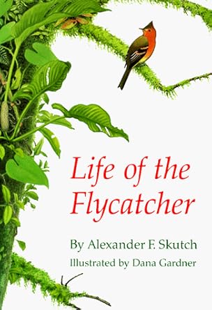 life of the flycatcher 1st edition alexander f skutch ,dana gardner 0806129492, 978-0806129495