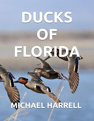 ducks of florida 1st edition michael harrell b0chl954vm, 979-8860801783