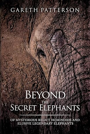 beyond the secret elephants 1st edition gareth patterson 195547169x, 978-1955471695