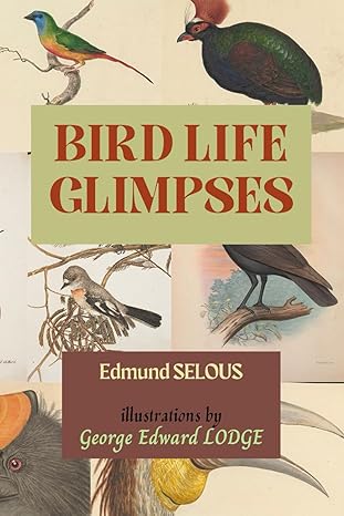 bird life glimpses 1st edition edmund selous ,george edward lodge b0chl9l9bs, 979-8861026420