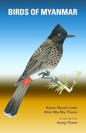 birds of myanmar 1st edition kyaw nyunt lwin ,khin ma ma thwin 9749575687, 978-9749575680