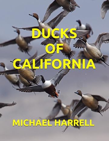 ducks of california 1st edition michael harrell b0chl7rxdd, 979-8861240581